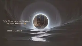 🌙 