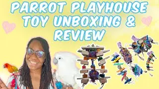 Parrot Playhouse Toy Unboxing and Review