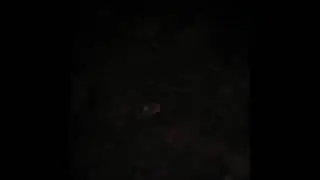 Creepy Forest Soundscape + Video