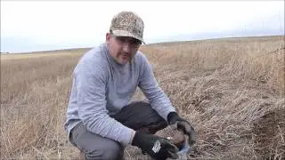HOW TO SET A DIRT HOLE TRAP
