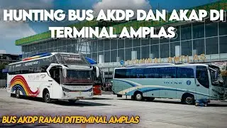 HUNTING BUS DI TERMINAL AMPLAS❗BUS AKDP RAMAI DI TERMINAL AMPLAS