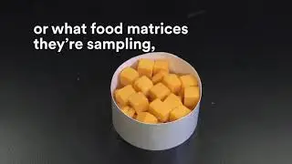 Quick and simple food testing with 3M&trade; Petrifilm&trade; Plates