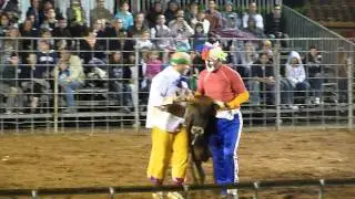 Les clowns à la course de vache d'Hossegor