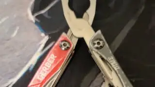 GERBER DIME LOOK AGAIN.