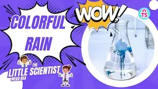 14 Colorful Rain Experiment | The Little Scientist Mega Box | ToySavvy