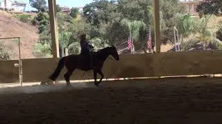 Jennifer Eliot & Surprized By Chic, Select Ranch Rail