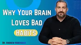 Why Willpower Fails Against Bad Habits | Brain Science Reveals Why