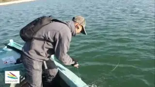 Fishing Video Instruction Tutorial lessons in chinese