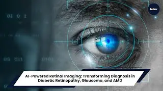 AI-Powered Retinal Imaging: Transforming Diagnosis in Diabetic Retinopathy, Glaucoma, and AMD