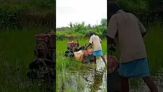 hand tractor stuck in mud 😲🔥💥⚡😱 #shorts #shortsvideo #trending #tractor #tractorvideo #tractorlover