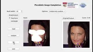 Pluralistic Image Completion for Free Form Mask
