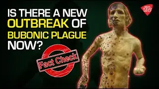 Is There A New Outbreak Of Bubonic Plague Now? | Fact Check