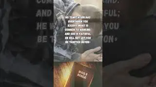 #biblepassages #holybibleverses #versefromlord #bibleverses #passages #holyscriptures #sacredverses