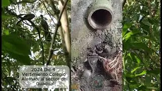 2024 Dic 4 Vertimiento del Colegio Alem&aacute;n a la zona del Guadual