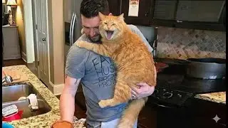 This Cute Cat Thinks He’s a Baby..