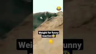 😂monkey funny shorts😇#animalshorts#🌍🔥___101#Unfamiliar Animals#