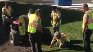 Commercial Landscape Installation By Holleys Landscaping