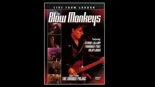 The Blow Monkeys - Wildflower