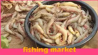 Uppada fishing harbour  wholesale market