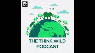 S3|E2 - Exploring Threats to Urban Owls in India with Debangini Ray