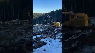 JM Browning Logging on ODF Timber Sale (Wage Earner)
