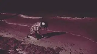 Sam Saunders- I Thought You'd Understand (official music video)