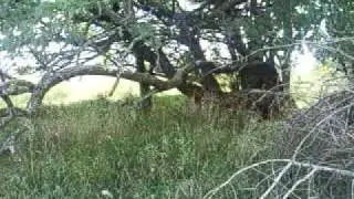 Stull Cemetery - EVP