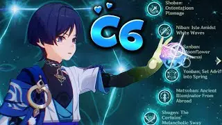 C6 Wanderer Wishes! 257+ Pulls | C2 to C6 !