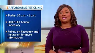 Mobile vet unit offers affordable care at Hallie Hill Animal Sanctuary