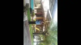 Ustad dada rosada spdi..082188880360