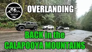 Gold Mines and Snowy Trails | Overlanding back in the Calapooya Mountains