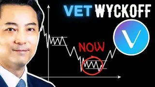 VeChain Price Direction Still Undecided? (VET) Wyckoff Price Prediction (Nov 29, 2025)