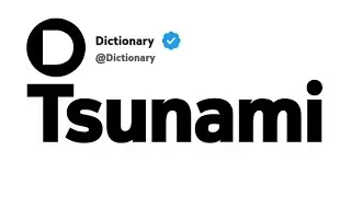 Значение слова &laquo;цунами&raquo; на телугу