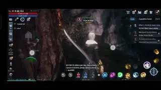 MIR4 find location of energy (crystalin forest) no clue on map. (asian server)