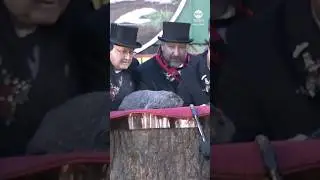 Groundhog Day: Punxsutawney Phil predicts six more weeks of winter