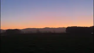 Bow Hunting New Zealand 