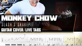 Monkey Chow | Slash's Snakepit | guitar cover with solo + live tabs