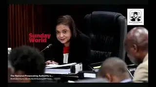 Шамила Батохи дает показания в рамках расследования дела Нкабинде.