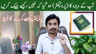 Visa Protector, How to get Visa Protection in 2024 || Visa Protector Check Karne Ka Tarika