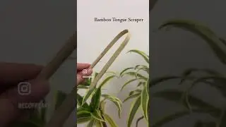 Oral Care Products |Sustainable |Eco-Friendly |Bamboo Toothbrush, Tongue Scraper Charcoal Toothpaste