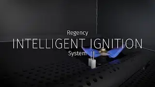 Интеллектуальная система зажигания Regency