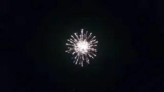 Wizard fireworks 3&lsquo;&rsquo; shells mass production-Blue peony