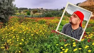 Malta Hikes: Hal Gharghur, Ix-Xwieki and Sweiqi