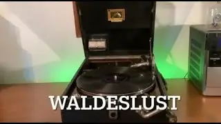 Waldeslust - gespielt von meinem Grammophon #gramophone #nostalgia  #traditional #history #fypシ