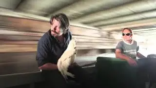 Interview Koen Vanmechelen on the Cosmopolitan Chicken Project
