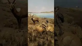 Upper Nile Region