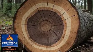 The Secret Life of Forest Carbon | Dr. Kathryn Duffy on Wildfire Impact
