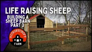 Life RAISING SHEEP Vlog: Building A Sheep Barn To Beat The Winter Blues! Part 3 (Icelandic Sheep)