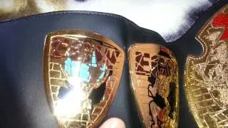 ECW World Television Belt