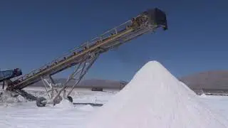 California Supreme Salt